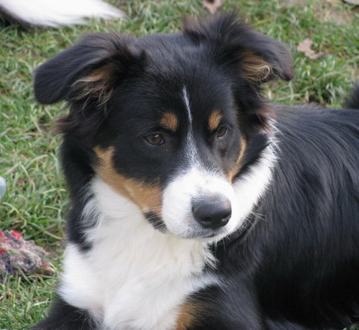BONČA2.jpg